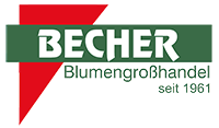 Blumen Becher GmbH - Ihr Großhandel für Frische, Qualität und Vielfalt