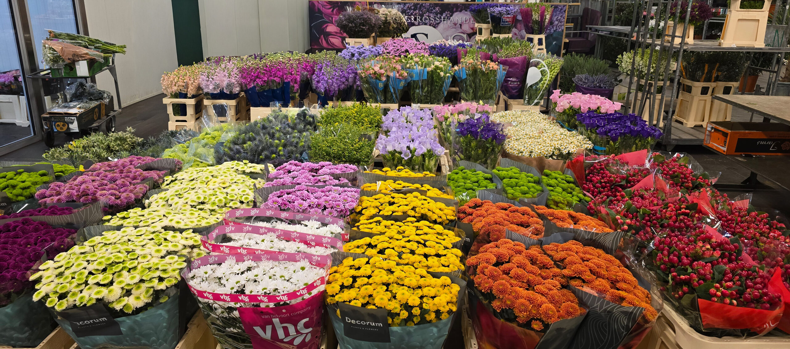 Großer Sortenmix frischer Schnittblumen im Großhandel: dichte Bündel in Gelb, Orange, Rot, Lila, Violett und Grün, Verpackungen von Decorum, teils Folienbeutel