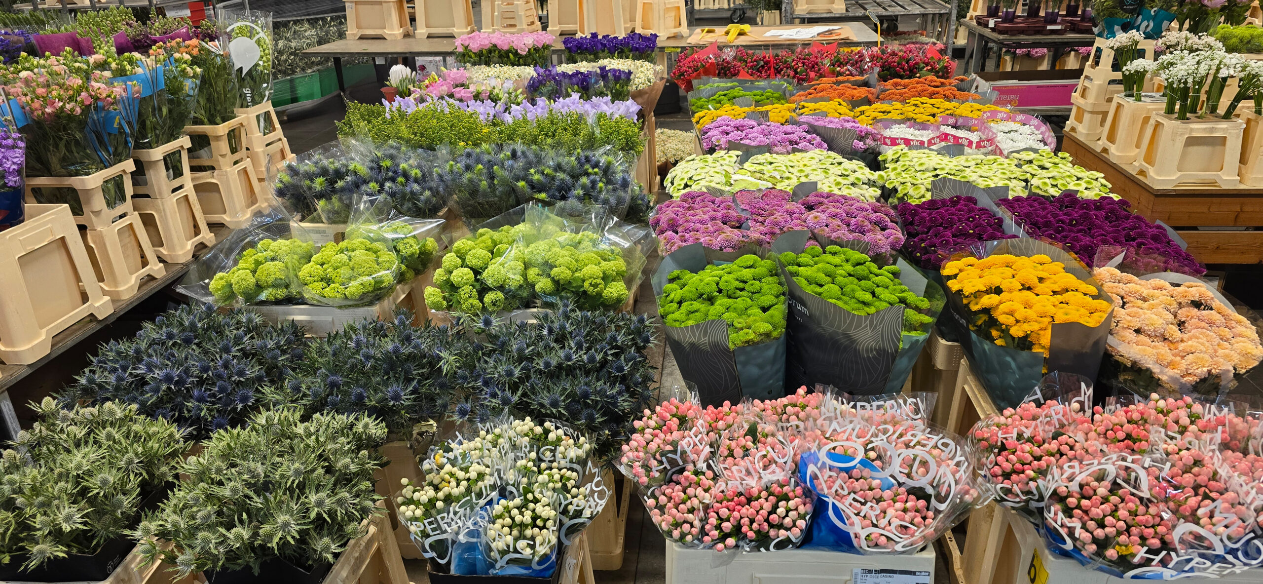 Bunte Schnittblumen in Folie: lila, grüne, blaue und pinkfarbene Sträuße sowie gelbe und orangefarbene Kugelblüten im Verkaufsdisplay
