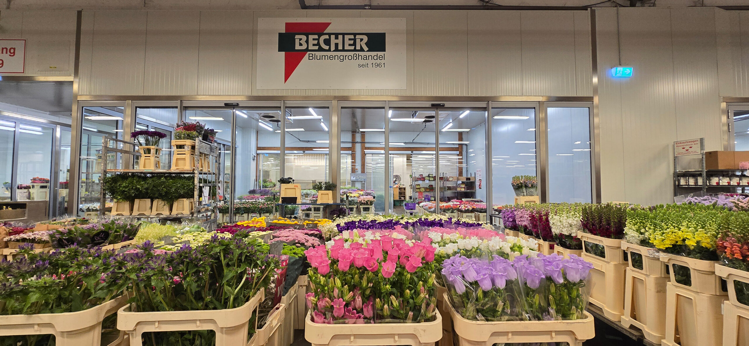 Vor dem Schriftzug BECHER Blumengroßhandel seit 1961 sind viele Schnittblumen in Pink, Lila, Gelb und Grün in Regalen arrangiert.